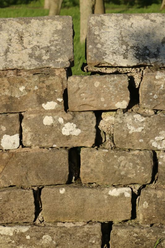 Stone Wall Repair in Englewood, FL
